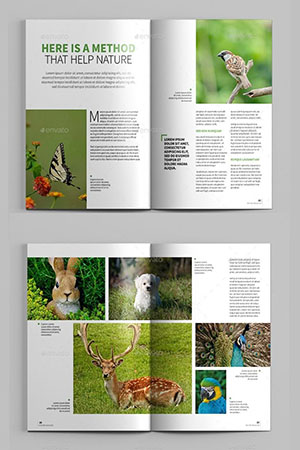 Magazine spreads